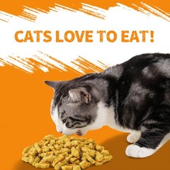 Just Try 13.4 OZ Pumpkin Cat Treats Cat Constipation Relief Hairball Control …