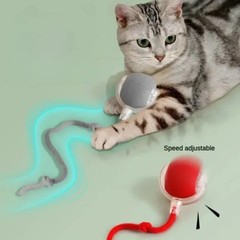 Interactive Cat Ball Toy Automatic Rolling Rechargeable Smart Pet Toy