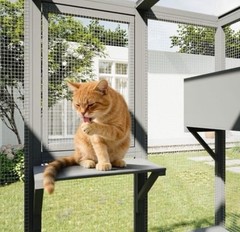 New 70 Inch Catio Outdoor Cat Enclosure, Large Cat House for Outdoor Cats
