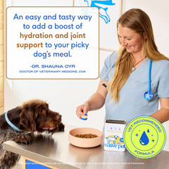 Bone Broth for Dogs – Made with Real Beef Bone Broth, Dog Food Toppers for Picky
