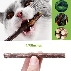 10 PCS Catnip Sticks Organic Cat Chew Toys Natural Plant Matatabi Silvervine Ch