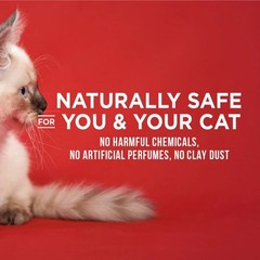 2 Pack World’s Best Cat Litter Ultra Absorb Unscented 15 lb Multi Pack FREE SHIP