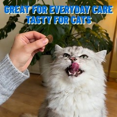 Healthy Cat Treats – Taurine Bites for Vital Health & Energy Production – 6.35oz