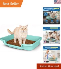 Large Green Open Top Litter Box for Senior Cats – KittyGoHere Comfort Solution