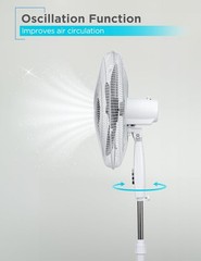 BLACK+DECKER 18-Inch Pedestal Fan, Standing Fan for Home and Office, Oscillation