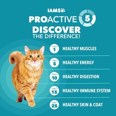 IAMS Proactive Health Dry Cat Food, Indoor Weight and Hairball Care Cat Food Dry