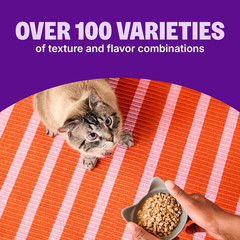Wellness CORE Signature Selects Shredded Adult Canned Wet Cat Food, Natural, Pro