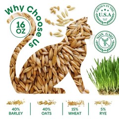 Groundio Cat Grass Seeds, 16OZ Non-GMO Barley, Oats, Wheat, Rye 16 OZ, green