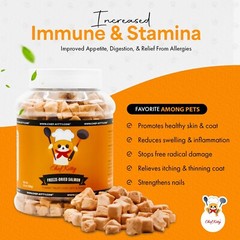 Chef Kitty Freeze Dried Salmon Cat and Dog Treats – 3.5 Ounce