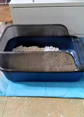 Semi-Enclosed Cat Litter Box with Scoop High Side Splashproof Kitty Toilet