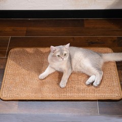 Sisal Cat Scratcher Mat for Indoor Cats, Natural Sisal Fabric Scratching Pad …
