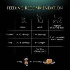 Grain-Free Wet Cat Food Pate – Chicken & Salmon Variety Twin-Pack (2 x 6 Count)