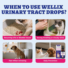 4Oz Natural Cat & Dog UTI Treatment Drops,Cat & Dog Urinary Tract Infect