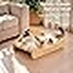 2-in-1 Cat Scratching Post & Nap Zone Solid Pine Sisal Floor Mount Assembly New