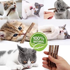 10 PCS Catnip Sticks Organic Cat Chew Toys Natural Plant Matatabi Silvervine Ch
