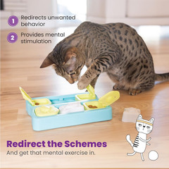 Kitty Cube Interactive Treat Puzzle Cat Toy, Blue (Pack of 12)