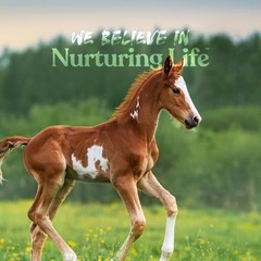 Manna Pro Nurse All Multi-Species Milk Replacer, Great 3.5 Pound (Pack of 1)
