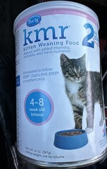 1 Can KMR 2nd Step Powdered Kitten Weaning Formula 14 oz BBD 05/2027