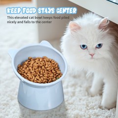 3Pcs Reusable Raised Cat Food Bowls Ergonomic Tilted Design for Cats
