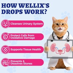 4oz Wellix Natural Cat & Dog UTI Treatment Drops,Cat & Dog Urinary Tract Infecti