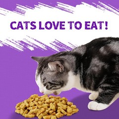 Just Try 13.4 OZ Lysine Cat Treats Natural Salmon Flavor Healthy Cat Training