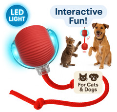 Automatic Rolling Ball Smart Cat Dog Toy Electric Pet Self-moving Kitten Game US