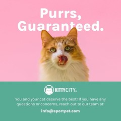 Portable Cat Playpen with Cubby Cubes