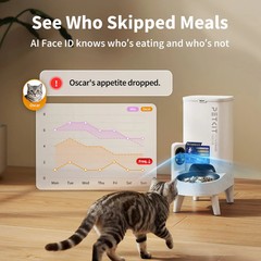 PETKIT YumShare Solo 2 Auto Pet Feeder with Camera for Cats Dogs