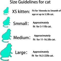 100Pcs Cat Nail Caps Black Cat Claw Covers Kitten Nail Caps Pet Tips with Adhesi