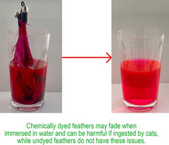 Cat Toys – No Chemical Dyeing Cat Feather Toys for Indoor Cats – Include Cat Wan