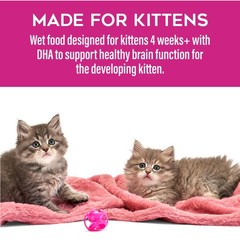 Tiki Pets Tiki Cat Baby Pate Wet Cat Food For Kittens Variety Pack 2.4 Oz. Can