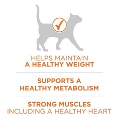 Ideal Healthy Weight High Protein Natural Chicken Flavor Dry Cat Food