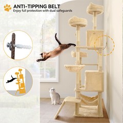 75 Inches Indoor Cat Tree Tall Cat Tower for Large Cats 20 lbs Cat Condo