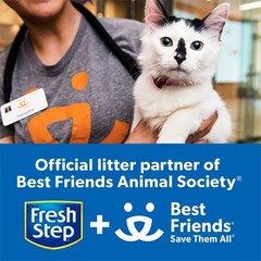 Heavy Duty Clumping Cat Litter Low Dust Odor Control 30 Days Febreze Freshness