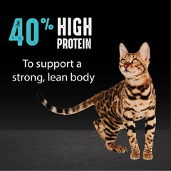 Grain Free Adult High Protein Natural Dry Cat Food with Protein from Salmon &…
