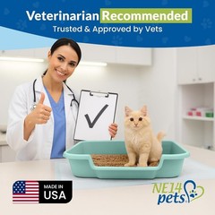 Large Green Open Top Litter Box for Senior Cats – KittyGoHere Comfort Solution