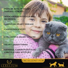 Heart Supplement for Dogs and Cats | Provides Excellent Cardiovascular Support