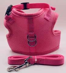 Escape Proof Cat Harness with Leash + Reflective Collar – Adjustable S M L XL