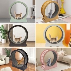 Cat Exercise Wheel Running Wheel Cat Toys Indoor Cat Treadmill Cat Toy Kitty Toy