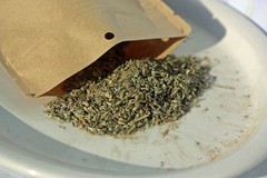 Organic catnip and silvervine – the ultimate blend