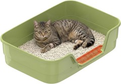 Low Entry Litter Box Senior Cats Extra Large Cat Litter Box W/ High Sides Kitten