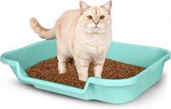 Large Green Open Top Litter Box for Senior Cats – KittyGoHere Comfort Solution