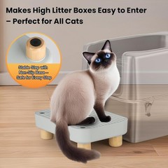 Durable Litter Box Step with Mesh Catcher – Perfect for Small & Elderly Cats