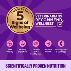Wellness Complete Health Pate Kitten Wet Cat Food, Natural, Protein-Rich,24 Pack
