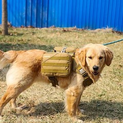 x Jumahe Dog Hiking Backpack for Large/Giant Dogs – 2 Spacious Side Bags,