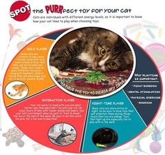 A-Door-Able Bouncing Mouse Rattle and Catnip Toy Multi-colored