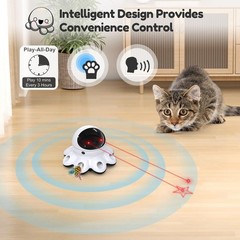 Interactive 2-in-1 Cat Laser Toy