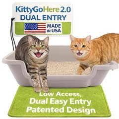 Large Open-Top Cat Litter Box – Easy Entry Low Entrance Pan for Seniors & Arthri