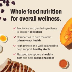The Honest Kitchen Human Grade Whole Food 16 Fl Oz (Pack of 1), Multi