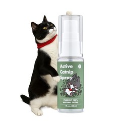 Active Catnip Spray for Indoor Cats – Calms Stress & Revives Toys (1 fl oz)